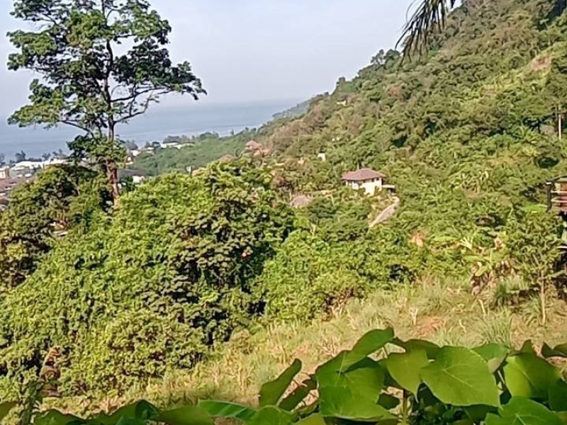 Karon, Mueang Phuket, Phuket, ,土地,买,1060
