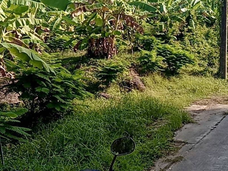 Karon, Mueang Phuket, Phuket, ,土地,买,1060