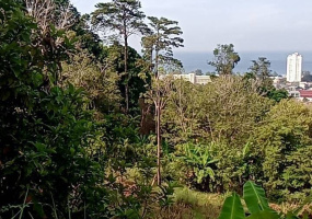 Karon, Mueang Phuket, Phuket, ,土地,买,1060