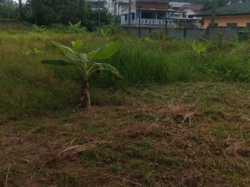 Sakhu, Thalang, Phuket, ,土地,买,1061