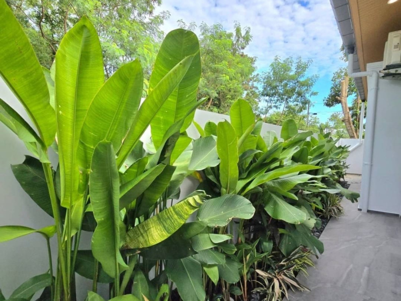 Soi Saiyuan 13 Rawai, Rawai, Mueang Phuket, Phuket, 3 卧室 卧室, ,2 浴室浴室,别墅,买,Soi Saiyuan 13 Rawai,1087