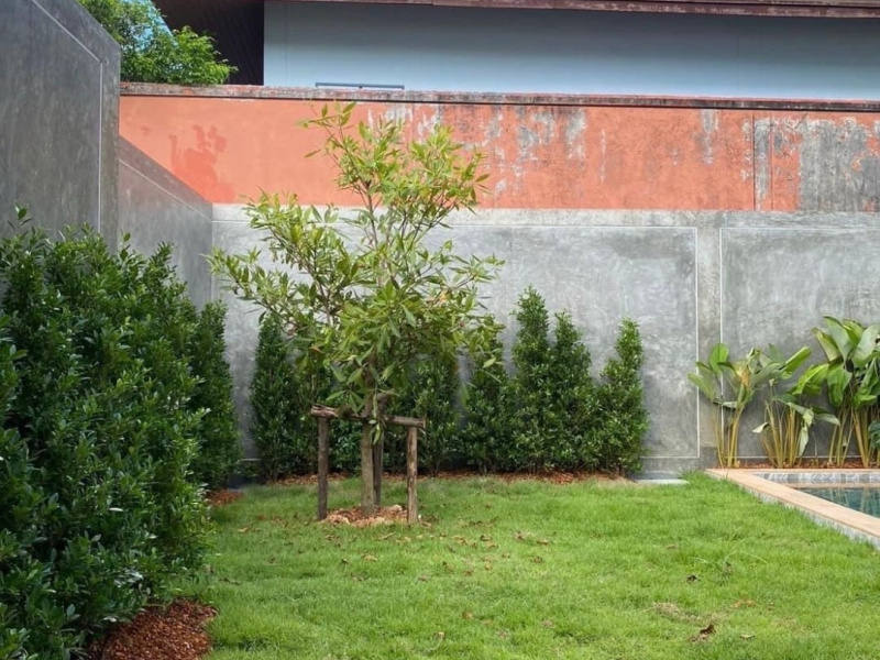 Sai Yuan, Rawai, Mueang Phuket, Phuket, 3 Bedrooms Bedrooms, ,4 BathroomsBathrooms,Villa,For Sale,Sai Yuan,1122