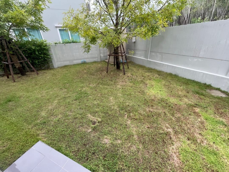 Anasiri Paklok, Pa Khlok, Thalang, Phuket, 3 Bedrooms Bedrooms, ,3 BathroomsBathrooms,House,For Rent,Anasiri Paklok,1147