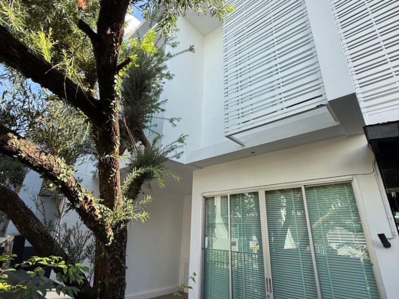 Patak Villa, Chalong, Mueang Phuket, Phuket, 2 Bedrooms Bedrooms, ,2 BathroomsBathrooms,House,For Sale,Patak Villa,1175