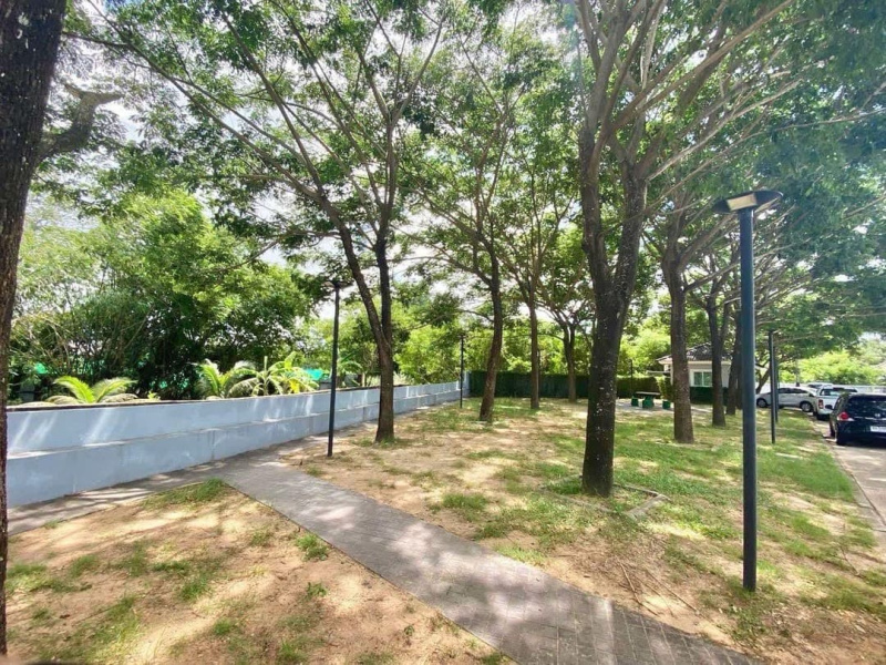 Chalong, Mueang Phuket, Phuket, 2 Bedrooms Bedrooms, ,2 BathroomsBathrooms,House,For Rent,1197