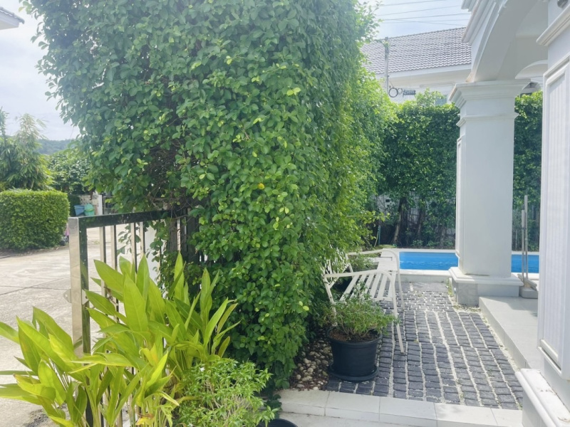 Chalong, Mueang Phuket, Phuket, 3 Bedrooms Bedrooms, ,2 BathroomsBathrooms,House,For Rent,1027